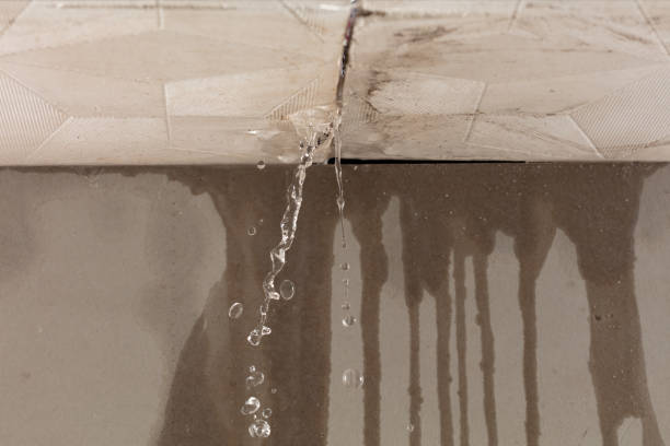 Professional Water Damage Inspection technician working in High Point, FL